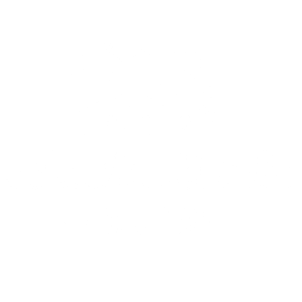 Aquarian Universe